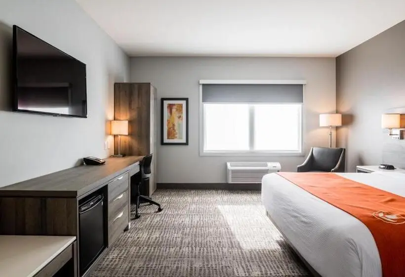 身障者適用キングサイズベッドルーム, Amsterdam Inn & Suites Florenceville