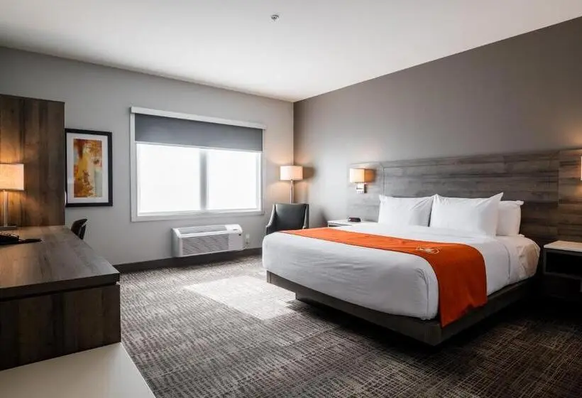 身障者適用キングサイズベッドルーム, Amsterdam Inn & Suites Florenceville