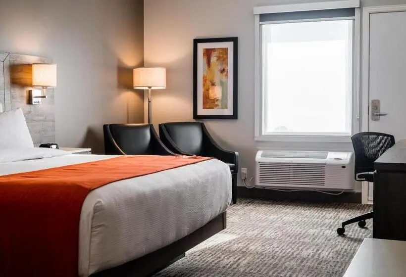 キングサイズベッドのスタンダードルーム, Amsterdam Inn & Suites Florenceville