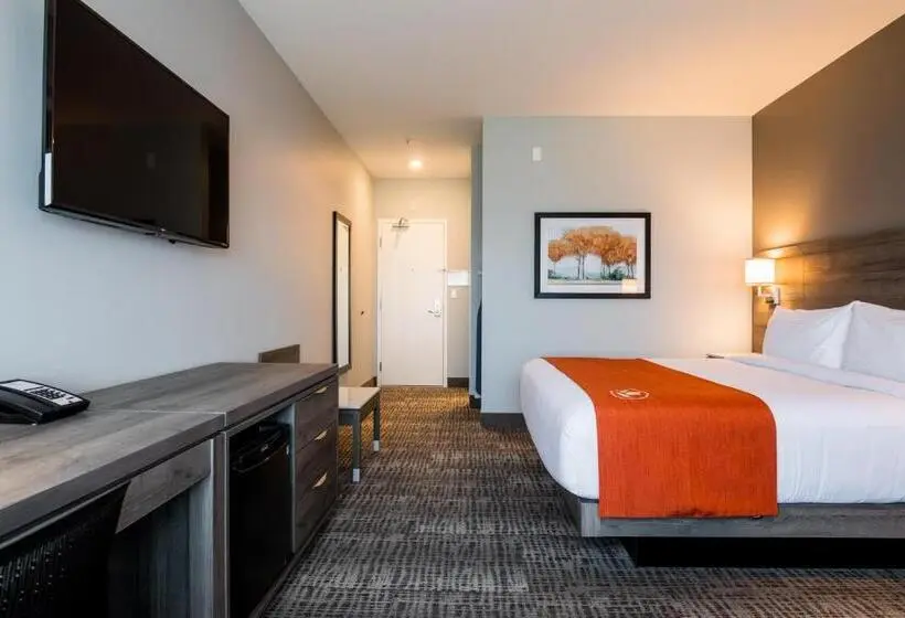 キングサイズベッドのスタンダードルーム, Amsterdam Inn & Suites Florenceville
