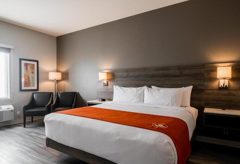 Стандартный Номер Кровать Кинг, Amsterdam Inn & Suites Florenceville