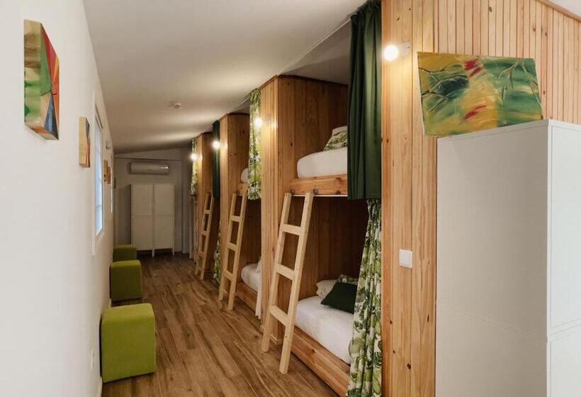 공동 객실, Behappy Lodge & Brunch