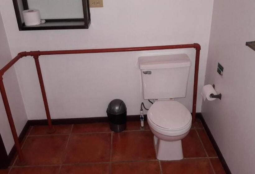 标准三人间, Iguana Libre