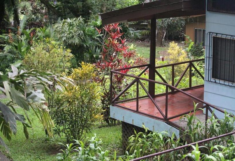 标准三人间, Iguana Libre