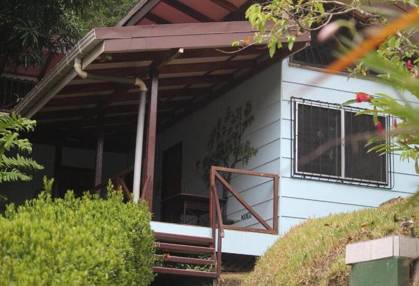 标准三人间, Iguana Libre