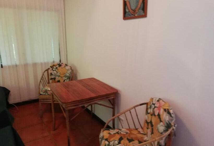 标准三人间, Iguana Libre