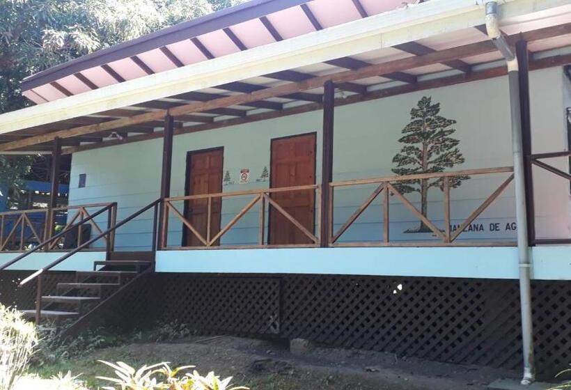 标准间, Iguana Libre