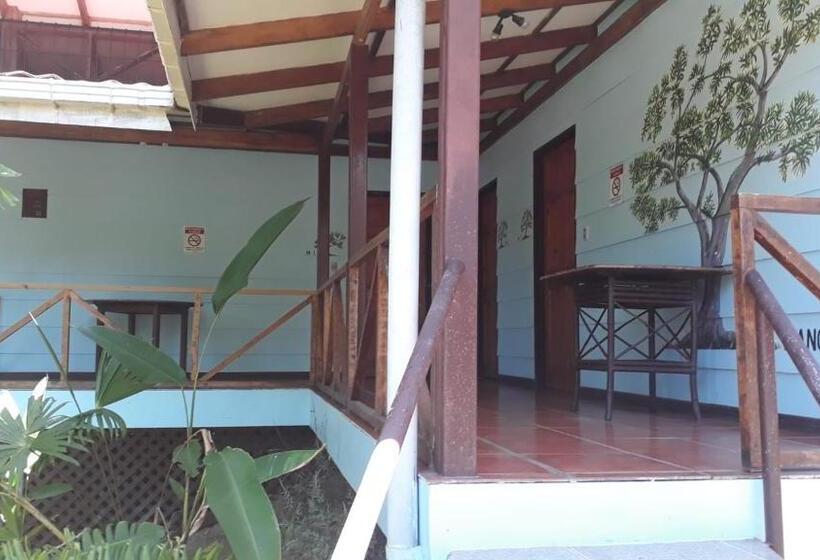 标准间, Iguana Libre