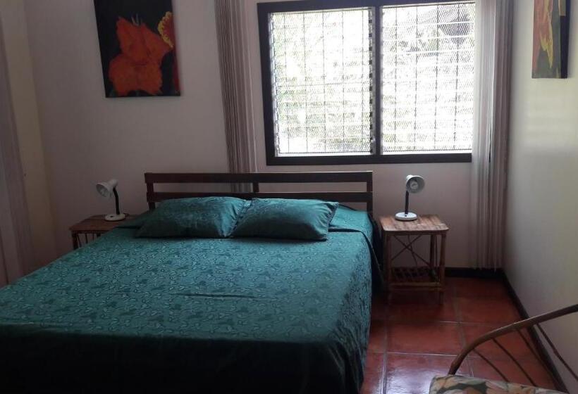 标准间, Iguana Libre