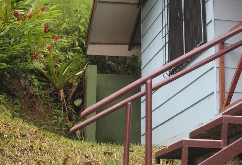 标准间, Iguana Libre