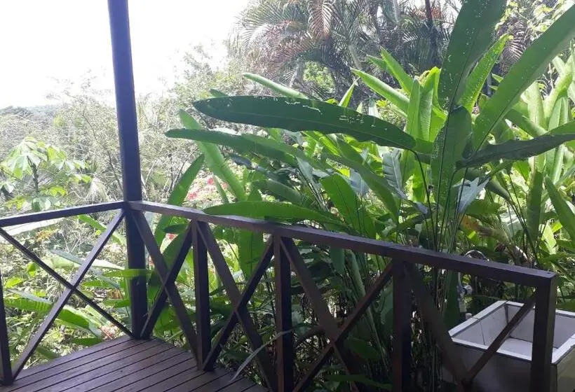Perhehuone, Iguana Libre