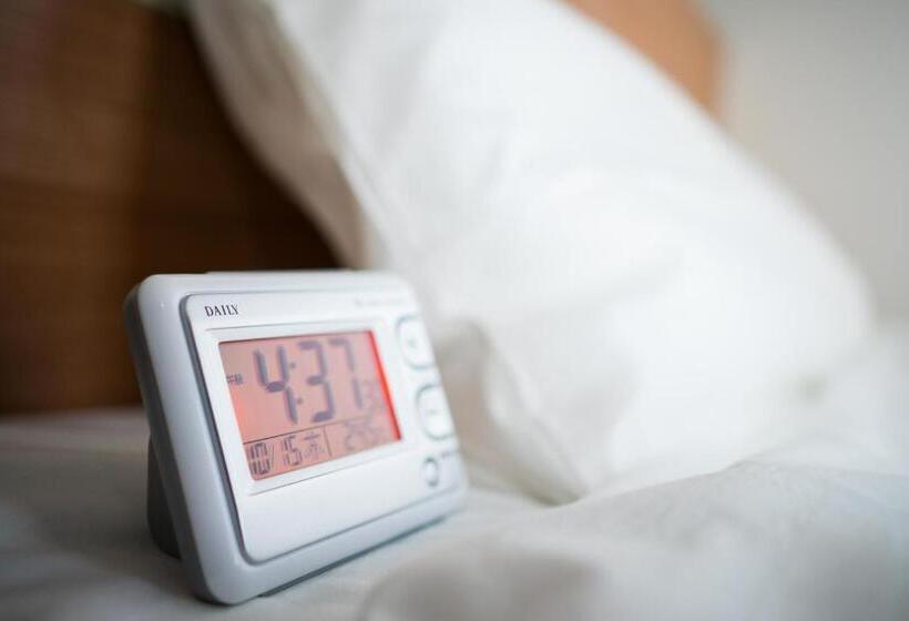 غرفة قياسية, Super Hotel Fujinomiya