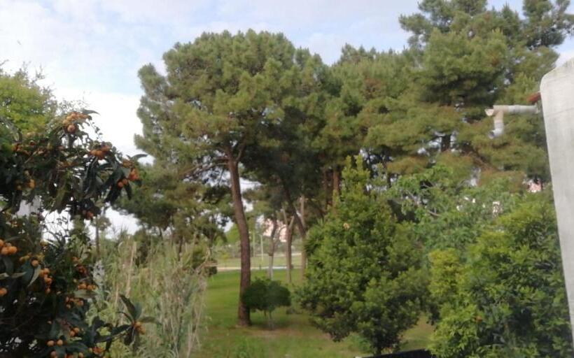 Номер Стандарт Трехместный, Guesthouse Marialva Park