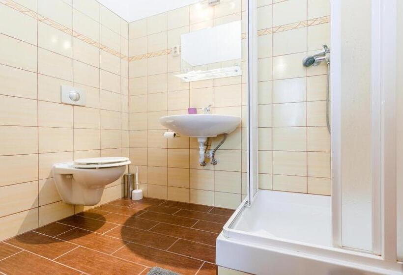 标准间, Sherwood Hotel Vojkovice Nad Ohří