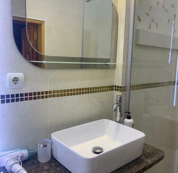 Svit, будинок художника