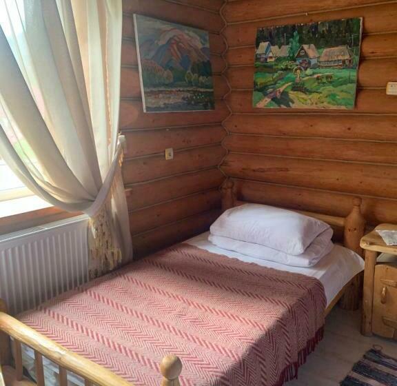 Svit, будинок художника