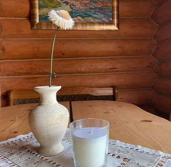 Svit, будинок художника