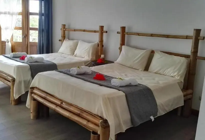 スタンダード４人部屋, Rio Celeste Finca L´ Etoile Celeste
