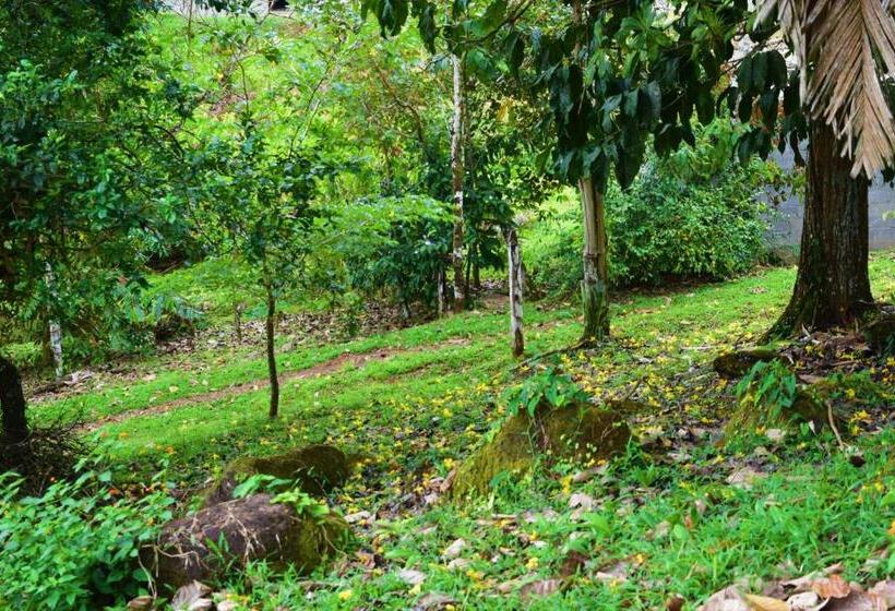 Номер Deluxe, Rio Celeste Finca L´ Etoile Celeste