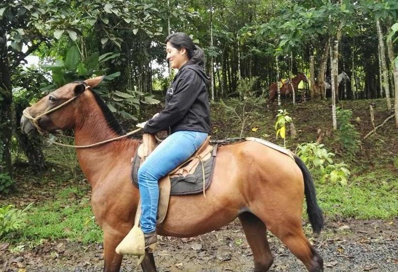 غرفة قياسية رباعية, Rio Celeste Finca L´ Etoile Celeste