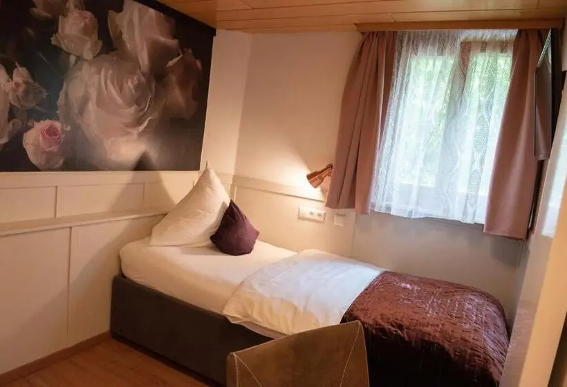 シングルベーシックルーム, Boutique   Hotel Zum Schloss