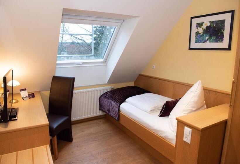 غرفة أساسية فردية, Boutique   Hotel Zum Schloss