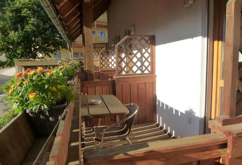 Номер Стандарт Индивидуальный с Балконом, Blaue Traube