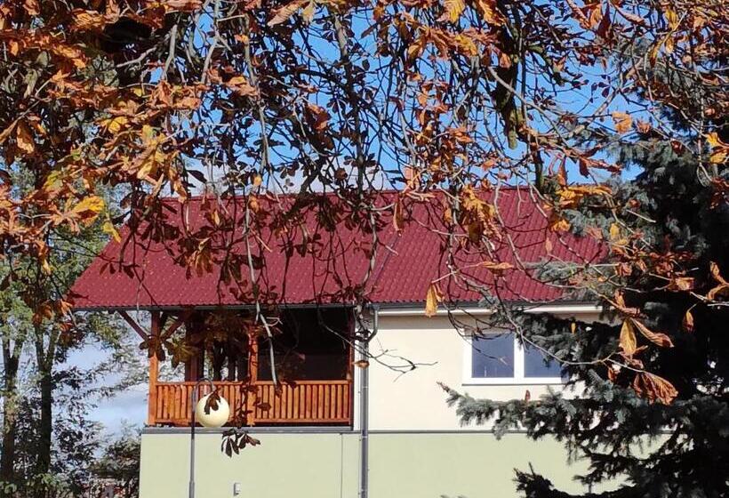 Номер Deluxe с Видом, Dvůr