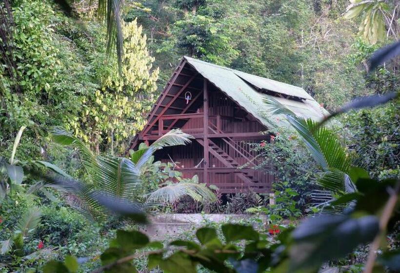 Четырехместный Номер Стандарт Вид на Море, La Kuka Hotel   Nuquí