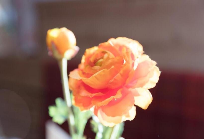 スタンダードルーム, Landhotel Steigenhaus