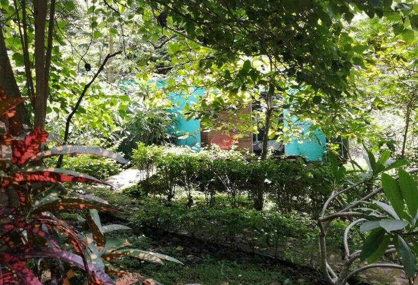 غرفة سوبيريور, Casa Rural Aroma De Campo