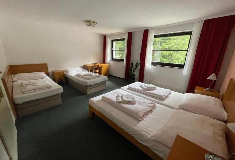 Четырехместный Номер Стандарт, Bohemia