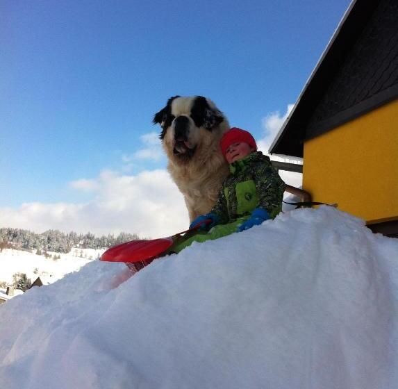 스탠다드 싱글 룸, Gasthof  Zum Reifberg