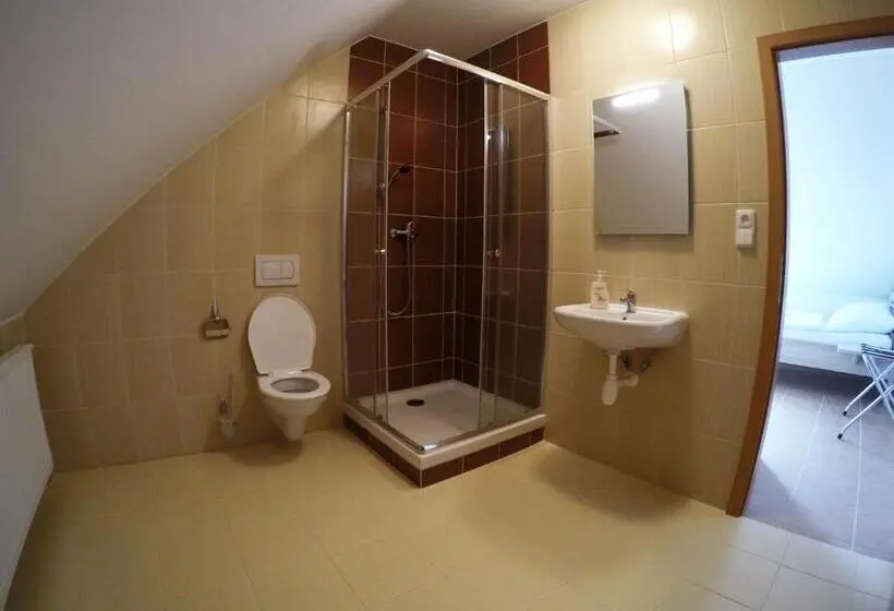 スタンダードトリプルルーム, Penzion U Tri Statkaru