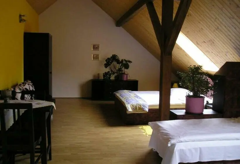 スタンダード４人部屋, Pension Lažany