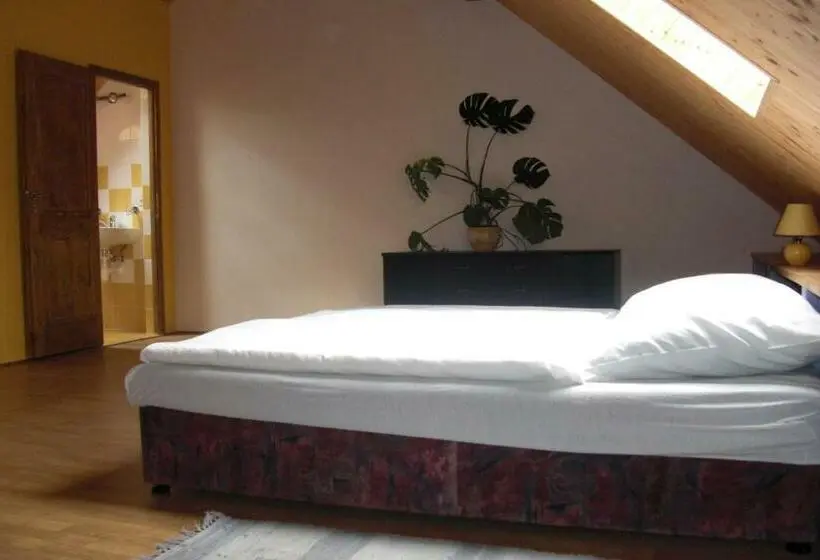 スタンダード４人部屋, Pension Lažany