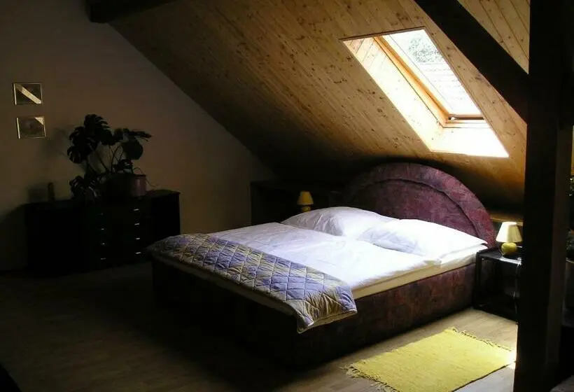 スタンダード４人部屋, Pension Lažany