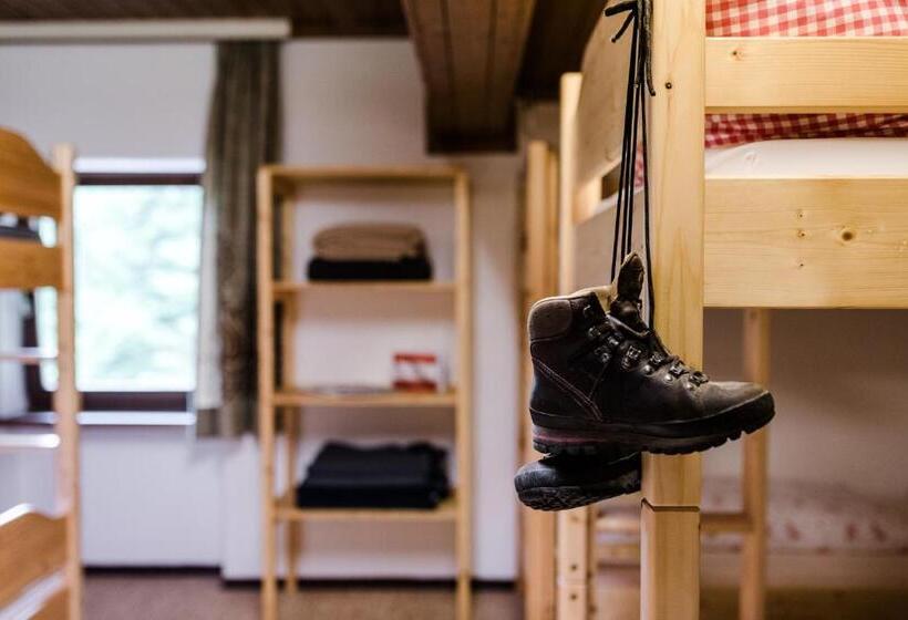 מיטה בחדר משותף, Das Naturhotel Die Eng