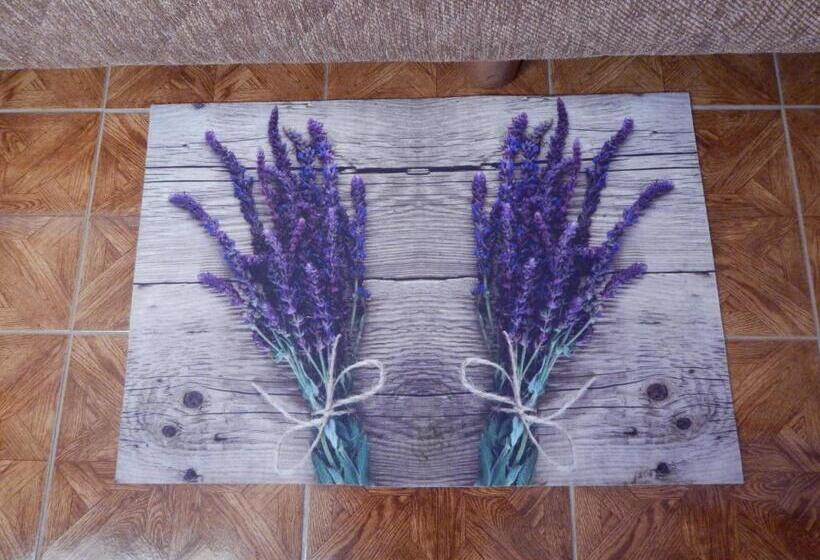 غرفة قياسية, Erdei Vendégház