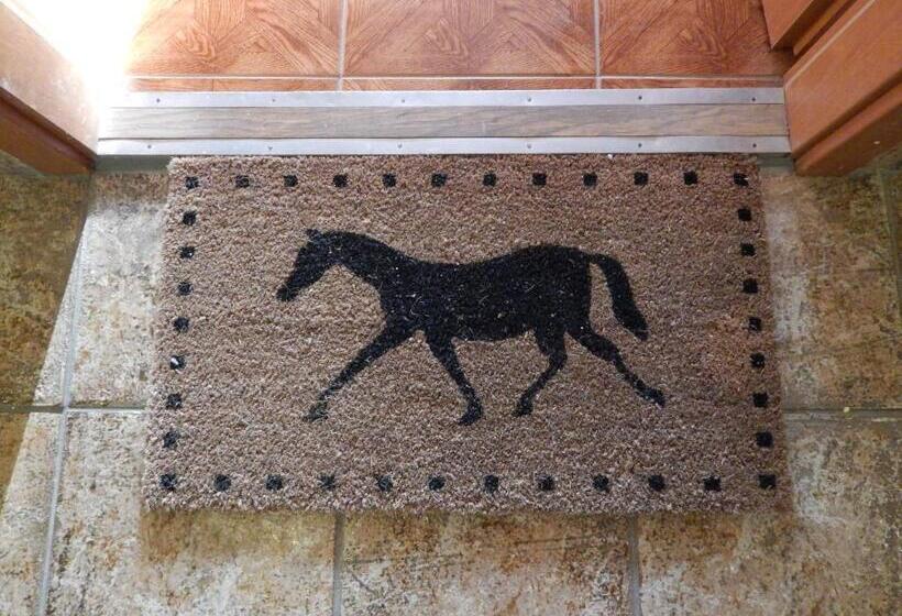 غرفة قياسية, Erdei Vendégház