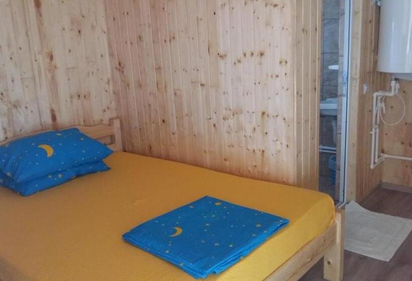 חדר סטנדרט, Vila Baciu