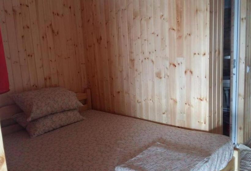 חדר סטנדרט, Vila Baciu