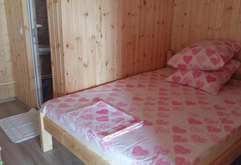 חדר סטנדרט, Vila Baciu