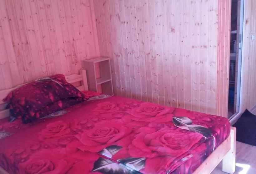 חדר סטנדרט, Vila Baciu