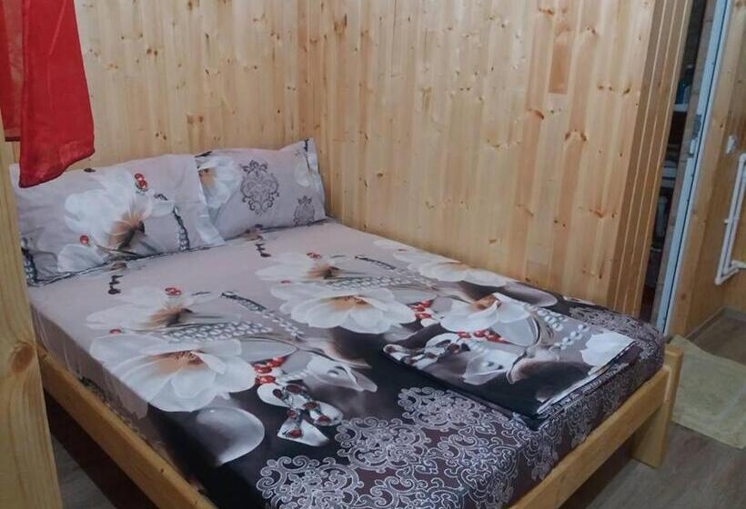 חדר סטנדרט, Vila Baciu