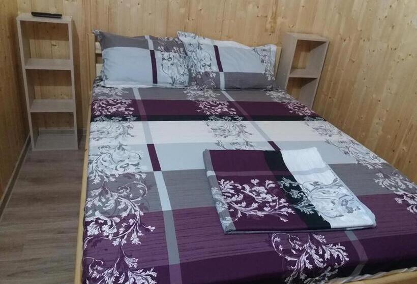 חדר סטנדרט, Vila Baciu