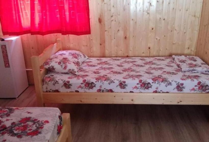 חדר סטנדרט לשלושה, Vila Baciu