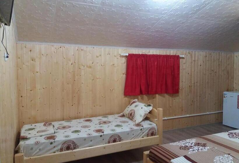 חדר סטנדרט לשלושה, Vila Baciu