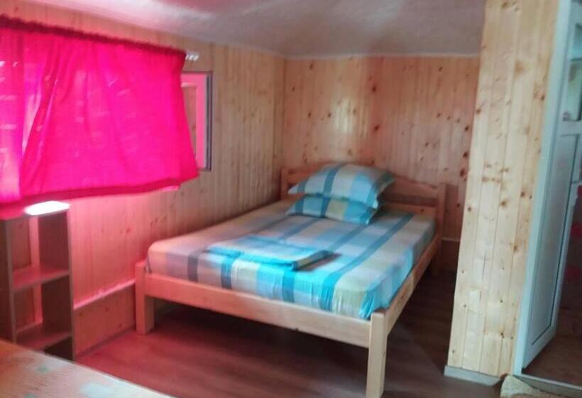 חדר סטנדרט לארבעה, Vila Baciu