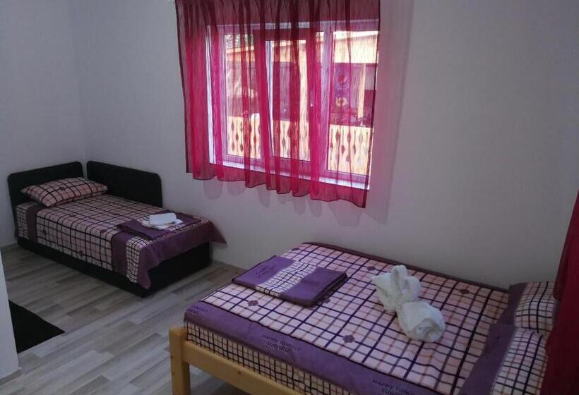 חדר דלוקס לארבעה, Vila Baciu